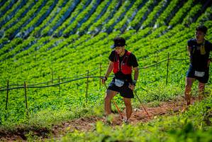 BIB: 
                            <button type="button" onclick="openModal(19162440)" class="btn btn-primary btn-sm float-right btn-popup" data-toggle="modal" data-target=".modal-high-quality">
                        <i class="fas fa-shopping-cart"></i> Add to Cart
                    </button>
                                            <button type="button" onclick="isThisMe(19162440, true)" class="btn btn-success btn-sm float-right btn-popup btn-isme hidden" data-toggle="tooltip" data-placement="bottom" title="นี่คือรูปของคุณใช่ไหม คลิกที่นี่เพื่อเอาเข้าอัลบั้ม">
                        <i class="fas fa-plus"></i> Add to album
                    </button>
                    <button type="button" onclick="isThisMe(19162440, false)" class="btn btn-warning btn-sm float-right btn-popup btn-isnotme hidden">
                        <i class="fas fa-ban"></i> Remove from album
                    </button>